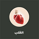 wallet-img